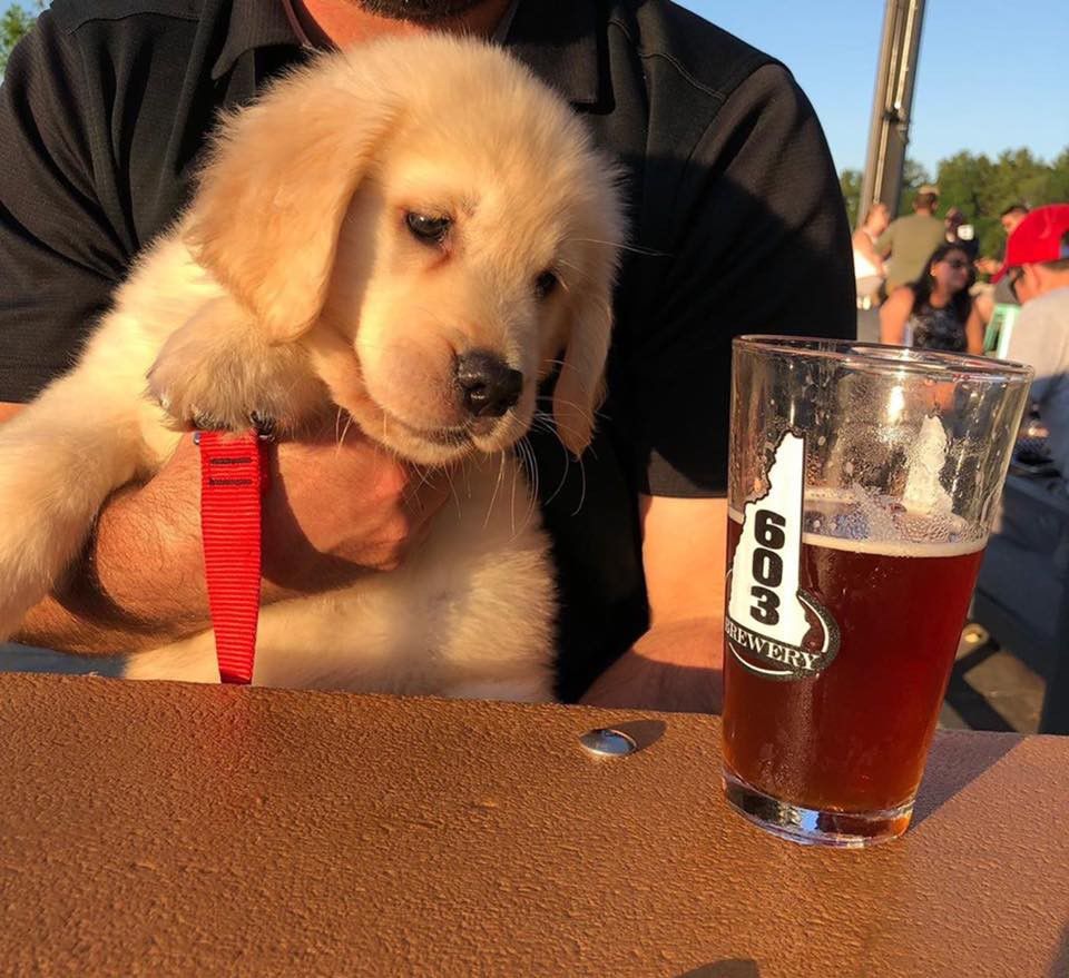 Breweries have a bone to pick